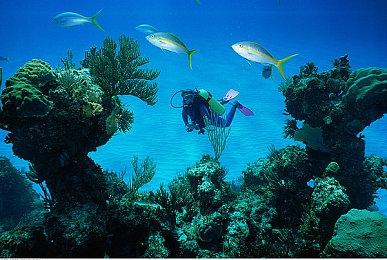 Epic喜加二：《古墓丽影暗影》《淹没：隐藏深处》免费领